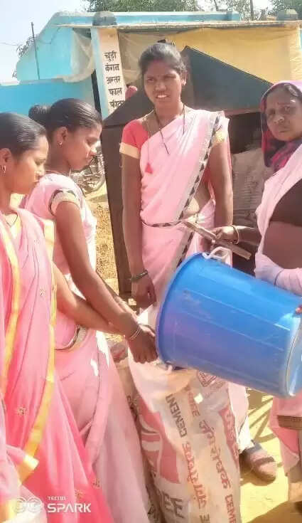 एमसीबी: ग्राम पंचायतों में डोर-टू-डोर अपशिष्ट संग्रहण बना सफलता का मॉडल