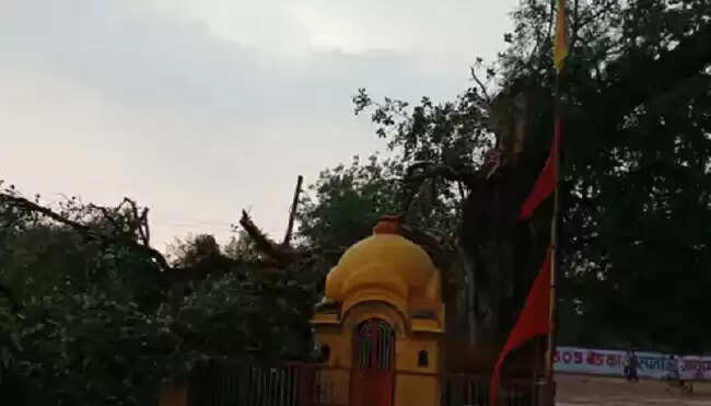 टीकमगढ़ः आकाशीय बिजली गिरने से दो लोगों की मौत