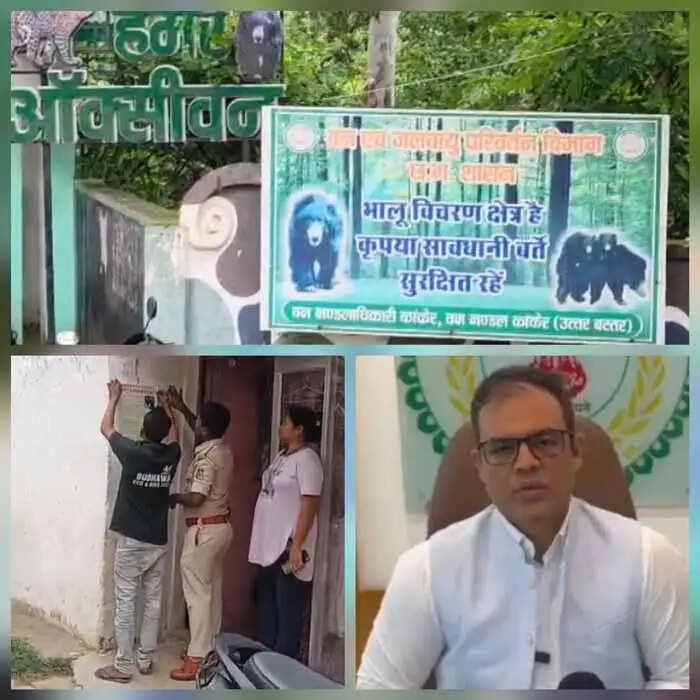 कांकेर में भालू दिखाई देने पर क्या करें और क्या न करें, के लगाए जा रहे होर्डिंग, बैनर-पोस्टर