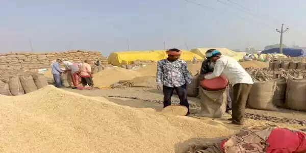 रायपुर : &nbsp;छत्तीसगढ़&nbsp;में&nbsp;अब तक 93.12 लाख मैट्रिक टन धान की खरीद