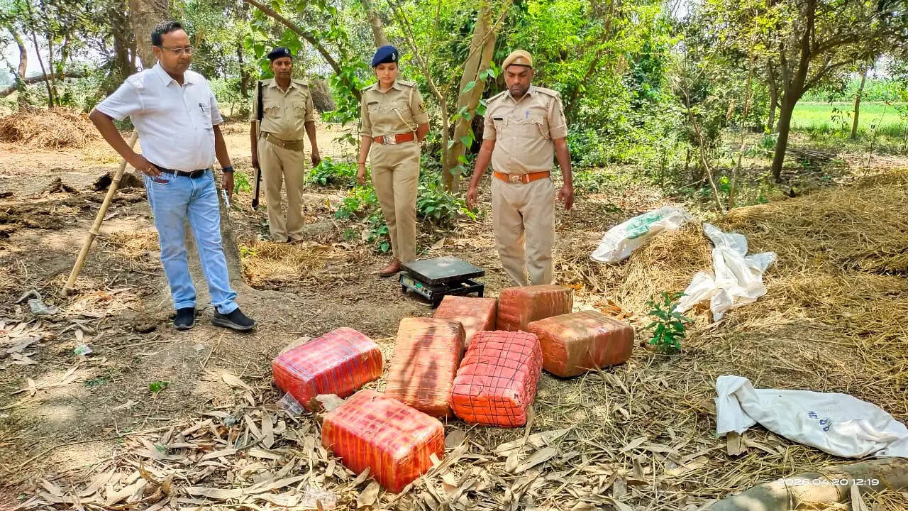 104 किलो गांजा बरामद मामले में चार तस्करों पर प्राथमिकी