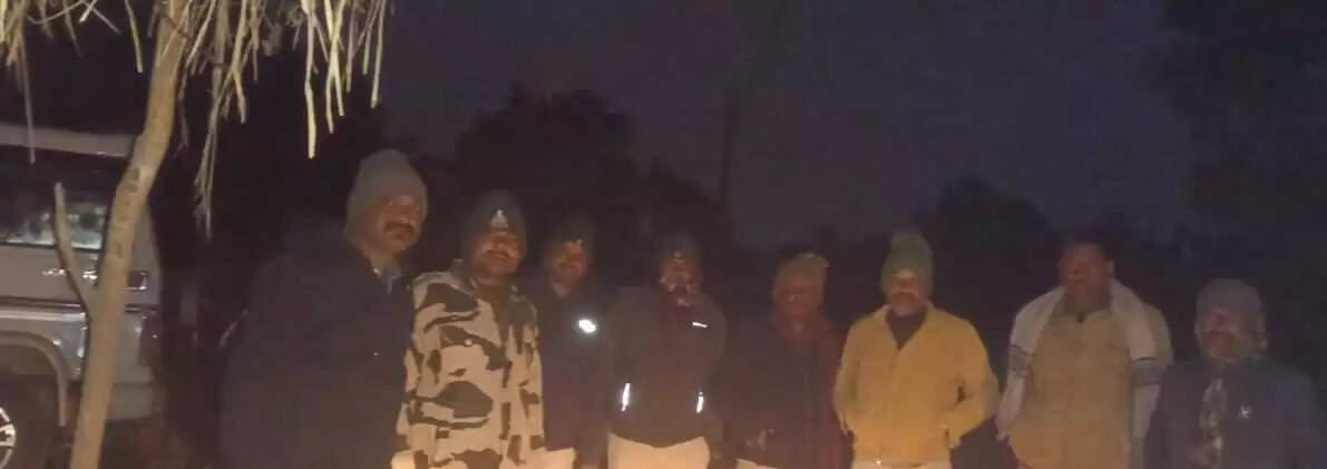 अनूपपुर: धनगवां के जंगल में 12 दिनों से डेरा जमायें बैठे तीनों हाथी, 4 दिनों से नहीं हुई हलचल