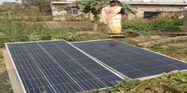 कृषि को बढ़ावा दे रहा फाउंडेशन