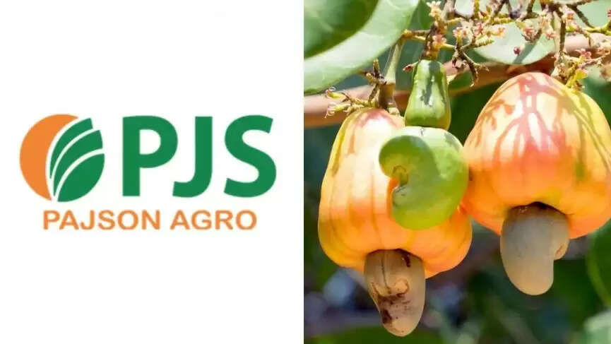 पाजसोन एग्रो इंडिया की स्टॉक मार्केट में मजबूत शुरुआत, शुरुआती उतार-चढ़ाव के बाद लगा अपर सर्किट