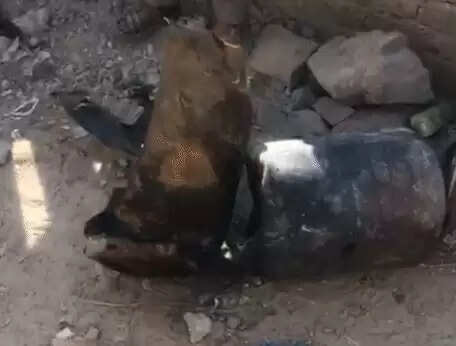 फ्लैट की चौथी मंजिल पर तेज धमाके के साथ सिलेंडर फटा