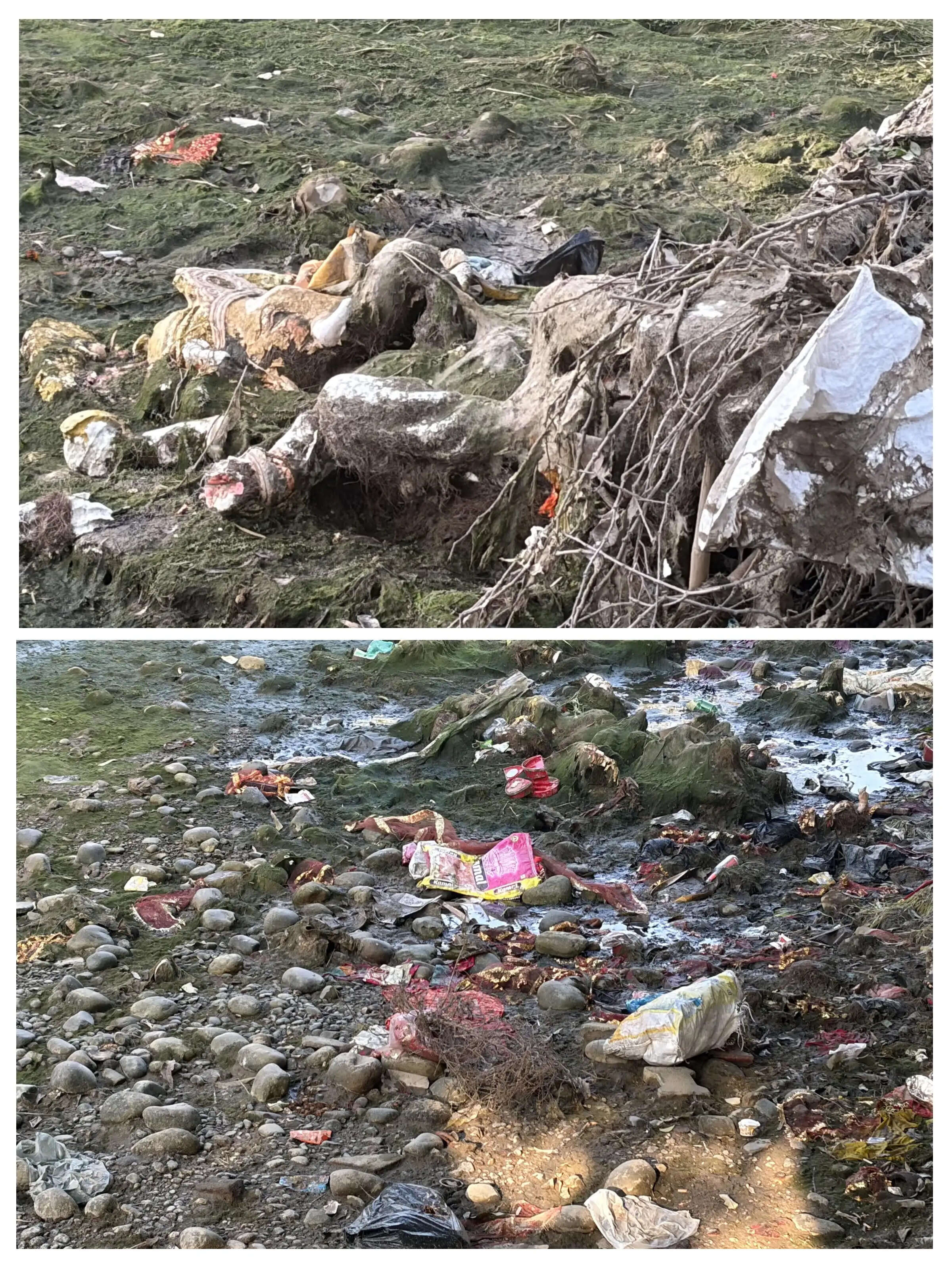 कठुआ की सूखी नहर में खंडित गणेश प्रतिमाएं, विसर्जन की व्यवस्था पर उठे सवाल