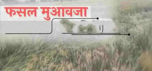 उप्र के किसानों को 04 मई को मिलेगी 122.28 करोड़ रुपये की फसल क्षतिपूर्ति, सभी जनपदों में आयोजित होंगे कार्यक्रम