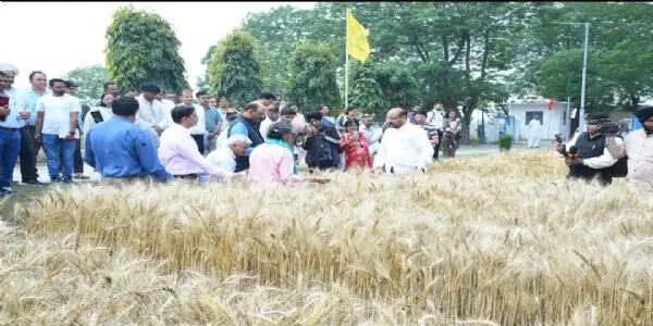 जलवायु-प्रतिरोधी और पोषक तत्वों से भरपूर फसल किस्मों के विकास पर केंद्रित है आईसीएआरः डॉ एम एल जाट