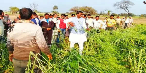 किसानों को ओलावृष्टि से प्रभावित फसलों का मिलेगा मुआवजा : राज्यमंत्री अहिरवार