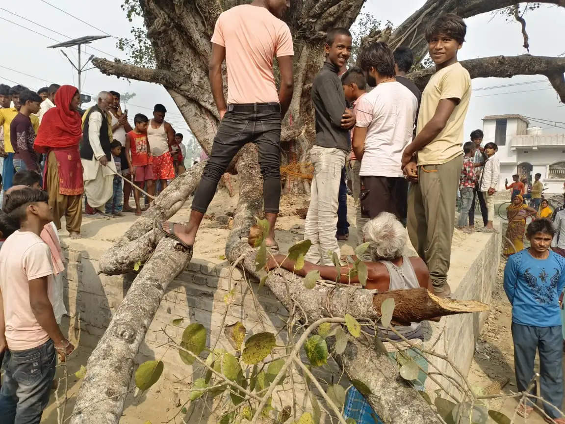 मुजफ्फरपुर जिले के प्राथमिक विद्यालय में पीपल की डाल गिरने से 5 बच्चे घायल