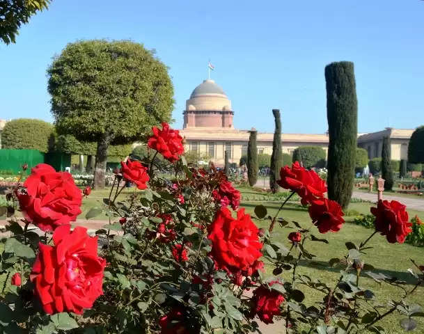 नई सरकार के शपथ ग्रहण की तैयारियों के लिए आम जनता के लिए बंद रहेगा राष्ट्रपति भवन