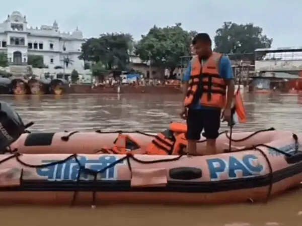 सतना: चित्रकूट में मंदाकिनी नदी उफान पर, रामघाट की सभी सीढ़ियां डूबीं, दुकानों में घुसा पानी