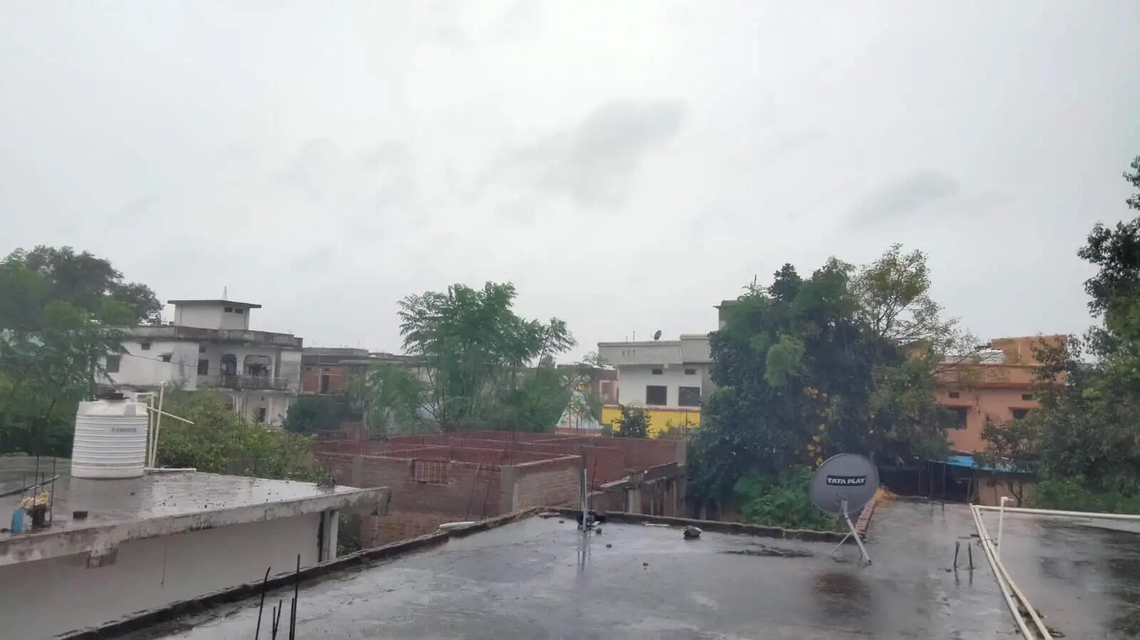 अनूपपुर: अर्नब चक्रवात से बारिश जारी: अमरकंटक में धुंध, रात से बिजली की आंख मिचौली जारी, कटी फसलों को नुकसान की आशंका