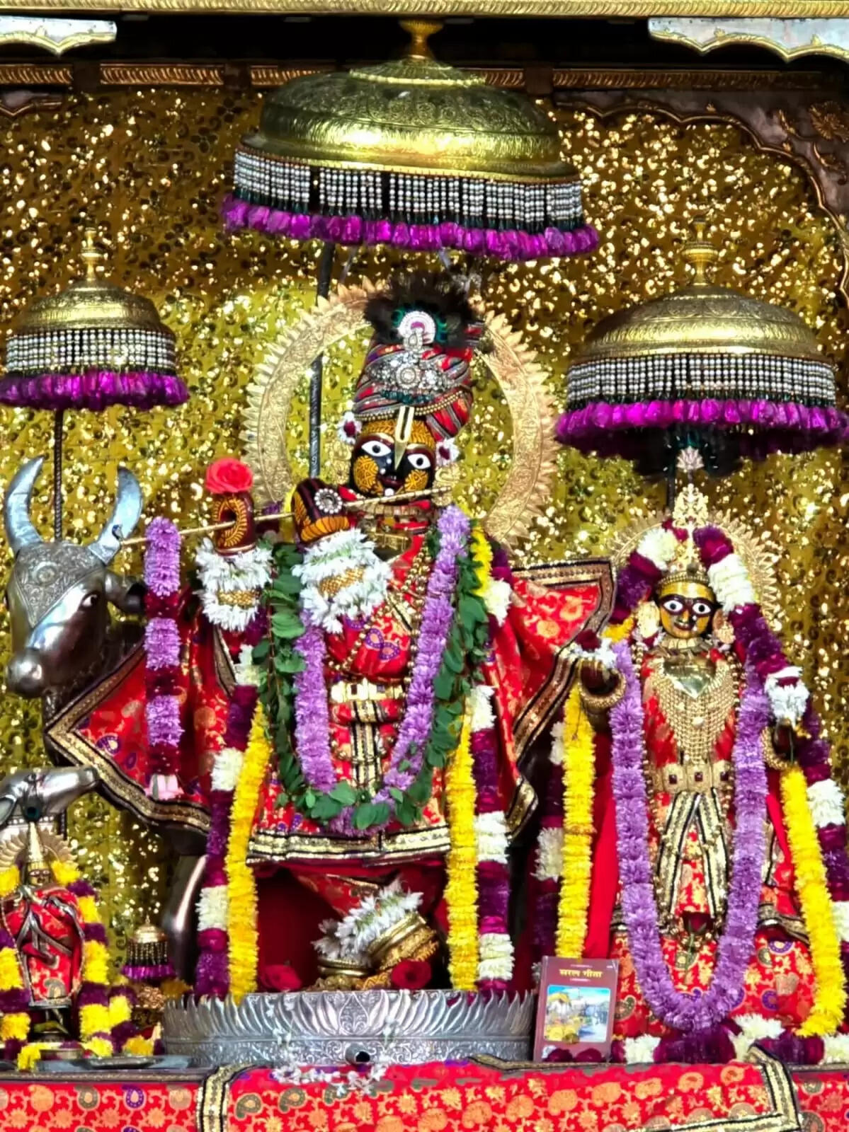 मोक्षदा एकादशी और गीता जयंती भक्ति भाव से मनाई