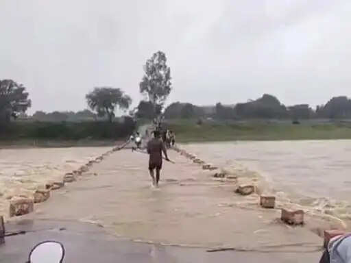 शहडोल: कुनुक नदी में जान जोखिम में डाल उफनते पुल पर बाइक से आवाजाही, तेज बहाव में लकड़ियां बटोरते दिखे