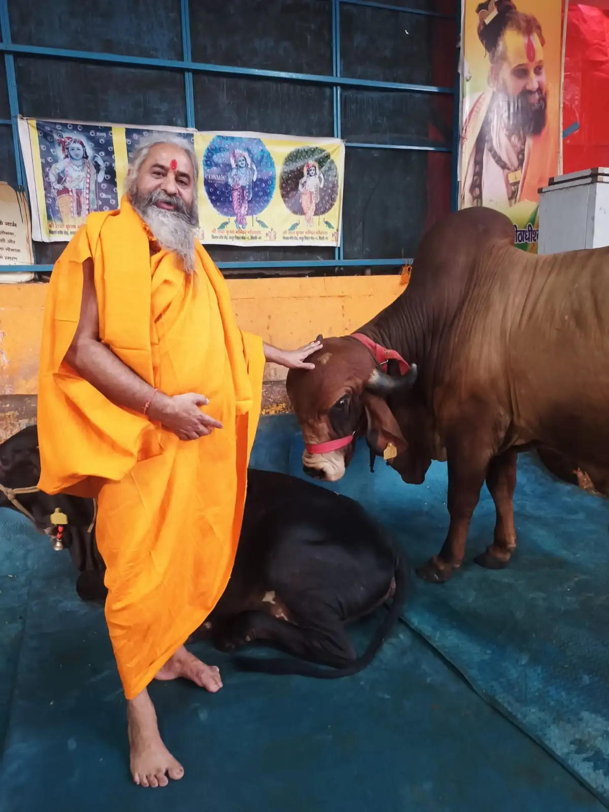 पशुुपतिनाथ मंदिर ले जाए जाएंगे भारत के नंदी