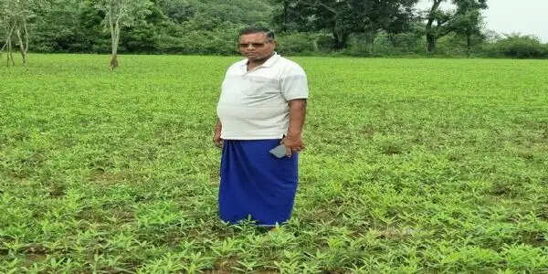 कृषक उन्नति योजना से मिलेगा प्रोत्साहन, 50 एकड़ में खेती के साथ डेयरी और सागौन रोपण भी