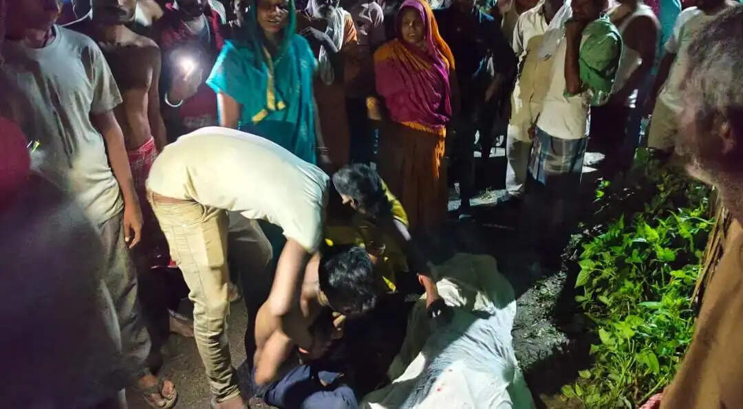 तेज रफ्तार पिकअप की टक्कर से पैदल जा रहे व्यक्ति की मौत, भागने के दौरान गड्ढे में पलटा वाहन