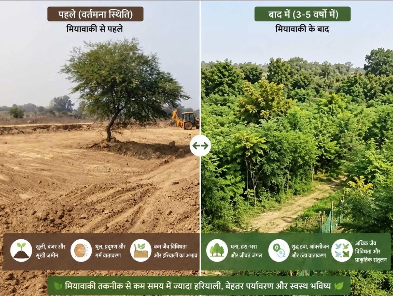 जापानी तकनीक से बदलेगी बिलासपुर की तस्वीर, 15 हजार पौधों से बनेगा मियावाकी ऑक्सीजन जोन