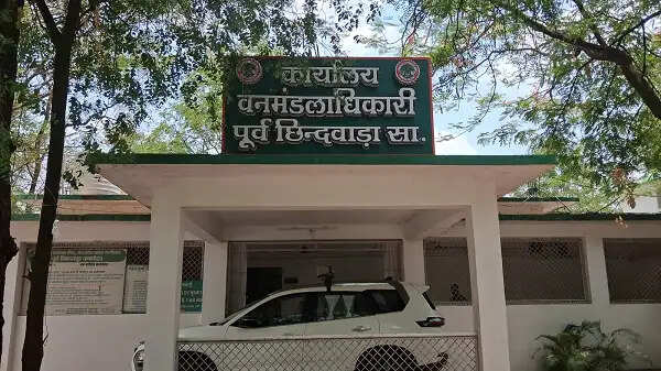 छिंदवाड़ा वन विभाग में मजदूरी भुगतान अनियमितता पर कार्रवाई, दो वनरक्षक निलंबित, दो कंप्यूटर ऑपरेटर हटाए गए