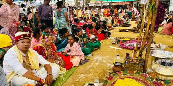 गंगरेल में भव्य सामूहिक विवाह, 63 जोड़े परिणय सूत्र में बंधे