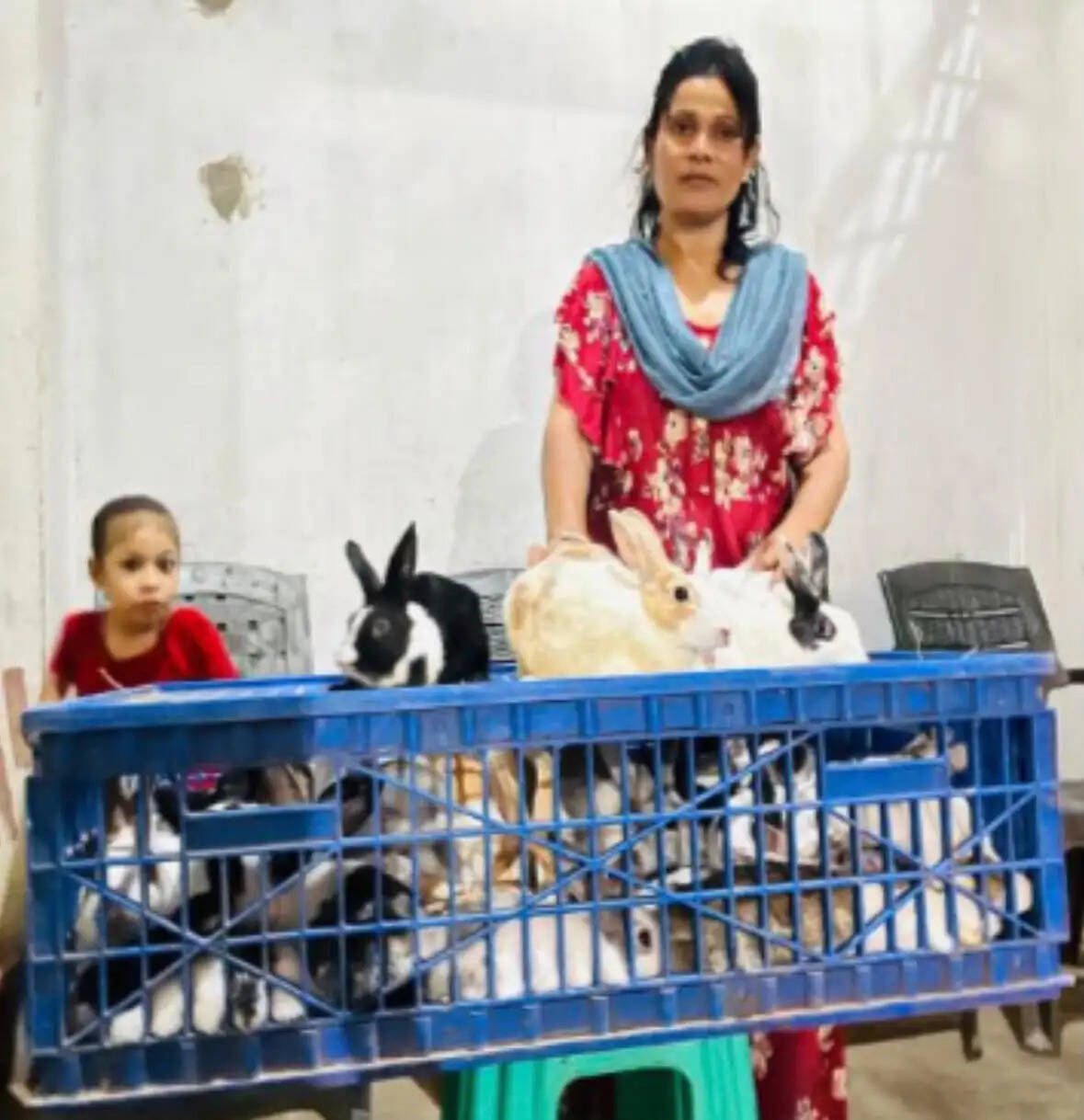 सक्षम योजना से सफीना ने बदली जिंदगी की राह, मुर्गी-खरगोश पालन से बनीं आत्मनिर्भर