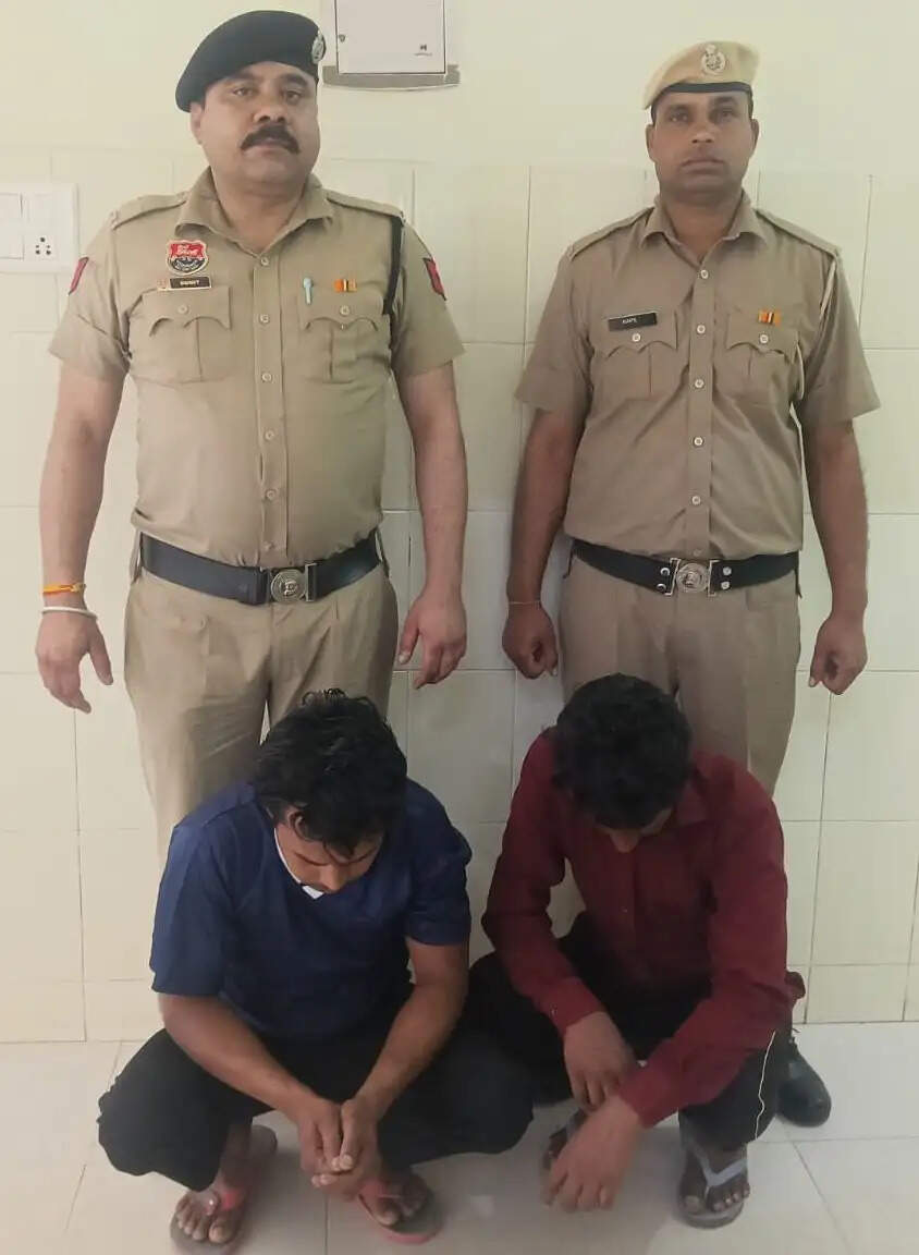 कैथल: लकड़ी चोरी मामले में पूंडरी पुलिस ने किए दाे आरोपी गिरफ्तार