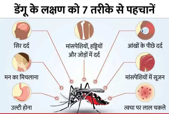 जगदलपुर : डेंगू के 12 मरीज मिलने के बाद नियंत्रण हेतु स्वास्थ्य विभाग व नगर निगम का सर्वे जारी