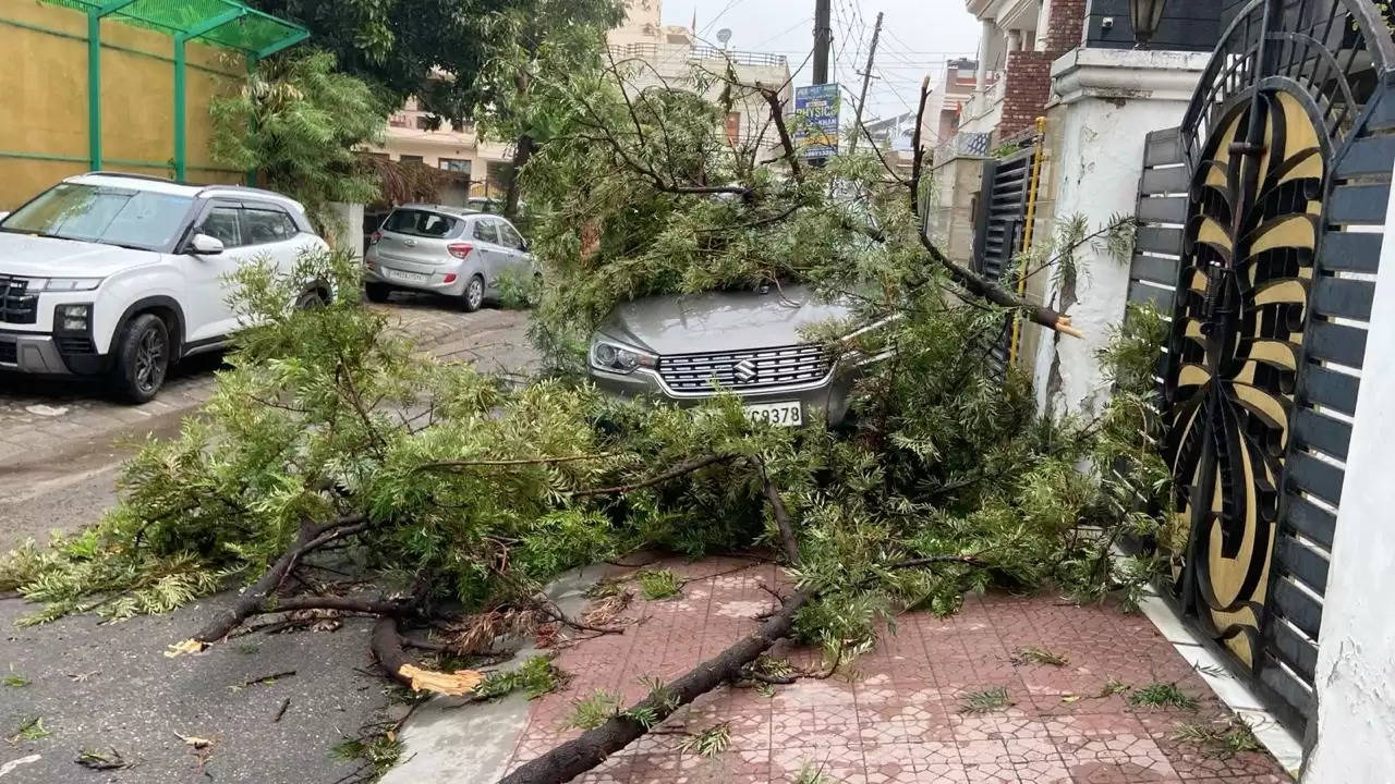 यमुनानगर: तेज हवाओं के साथ बारिश से कई पेड़ गिरे, दर्जनों कारें हुई क्षतिग्रस्त