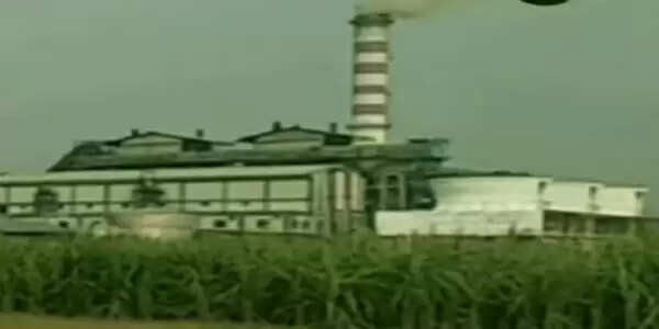 गोरखपुर मंडल की सात चीनी मिलों पर 26214.40 लाख गन्ना मूल्य बकाया