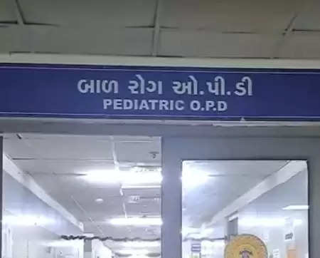 गुजरात में चांदीपुरा वायरस से मृतकों की संख्या हुई 33, अब तक 84 संदिग्ध मामले मिले