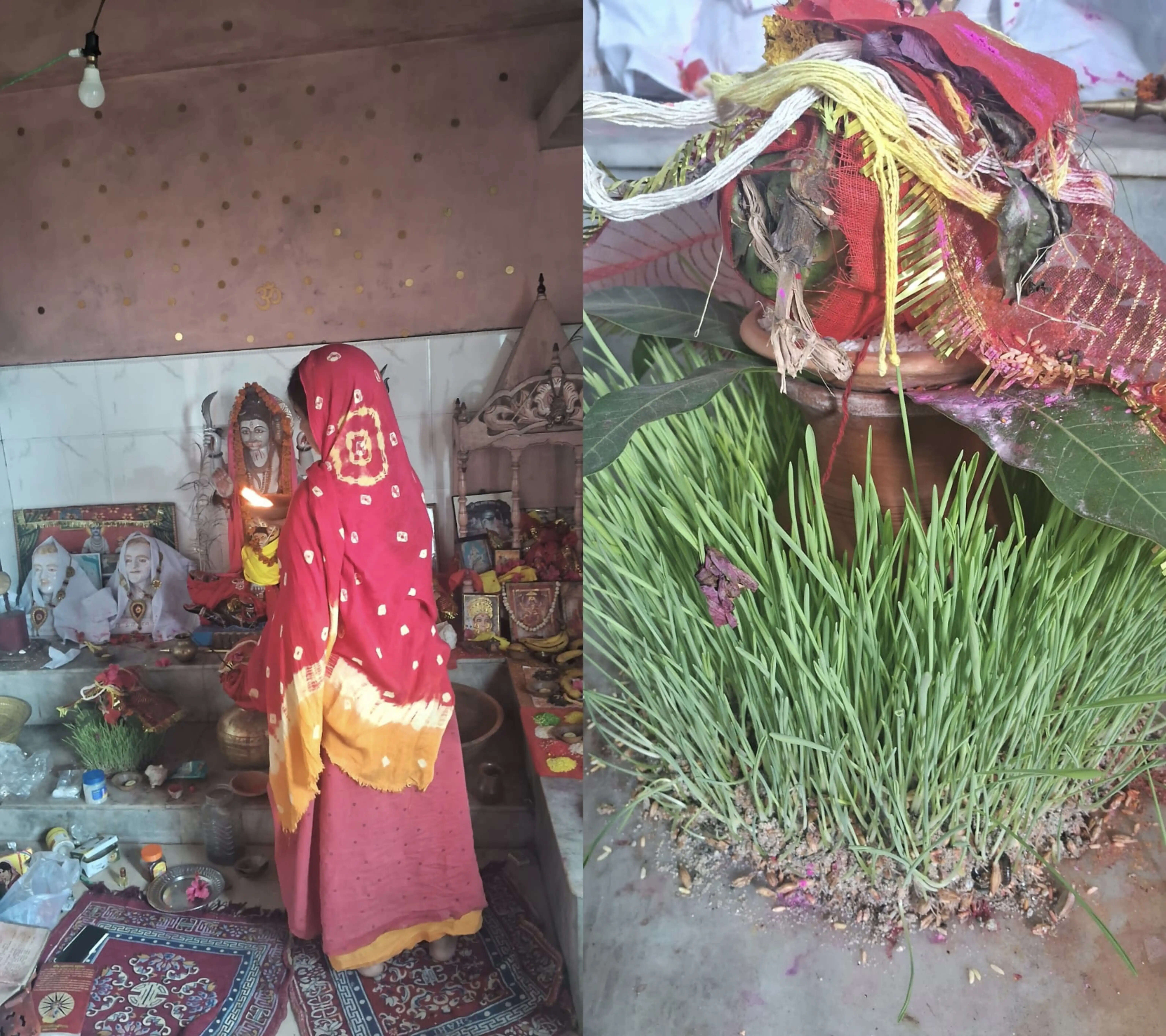 रुईधासा महाकाल मंदिर में मां कालरात्रि की आराधना, दर्शन को उमड़े श्रद्धालु