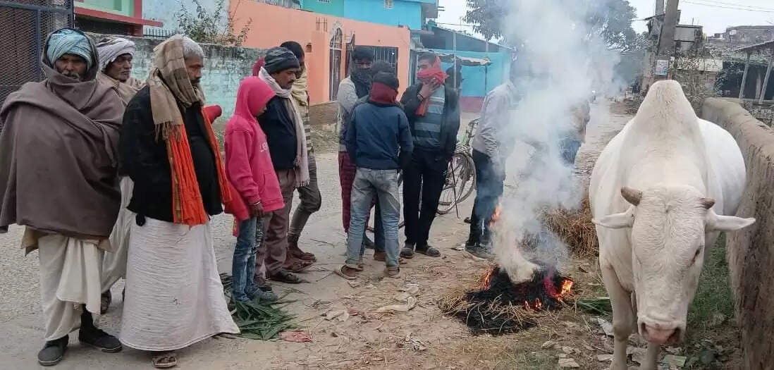 दरभंगा: तारडीह प्रखंड में शीतलहर के बीच इंसान–नंदी के साझा संघर्ष के दृश्य