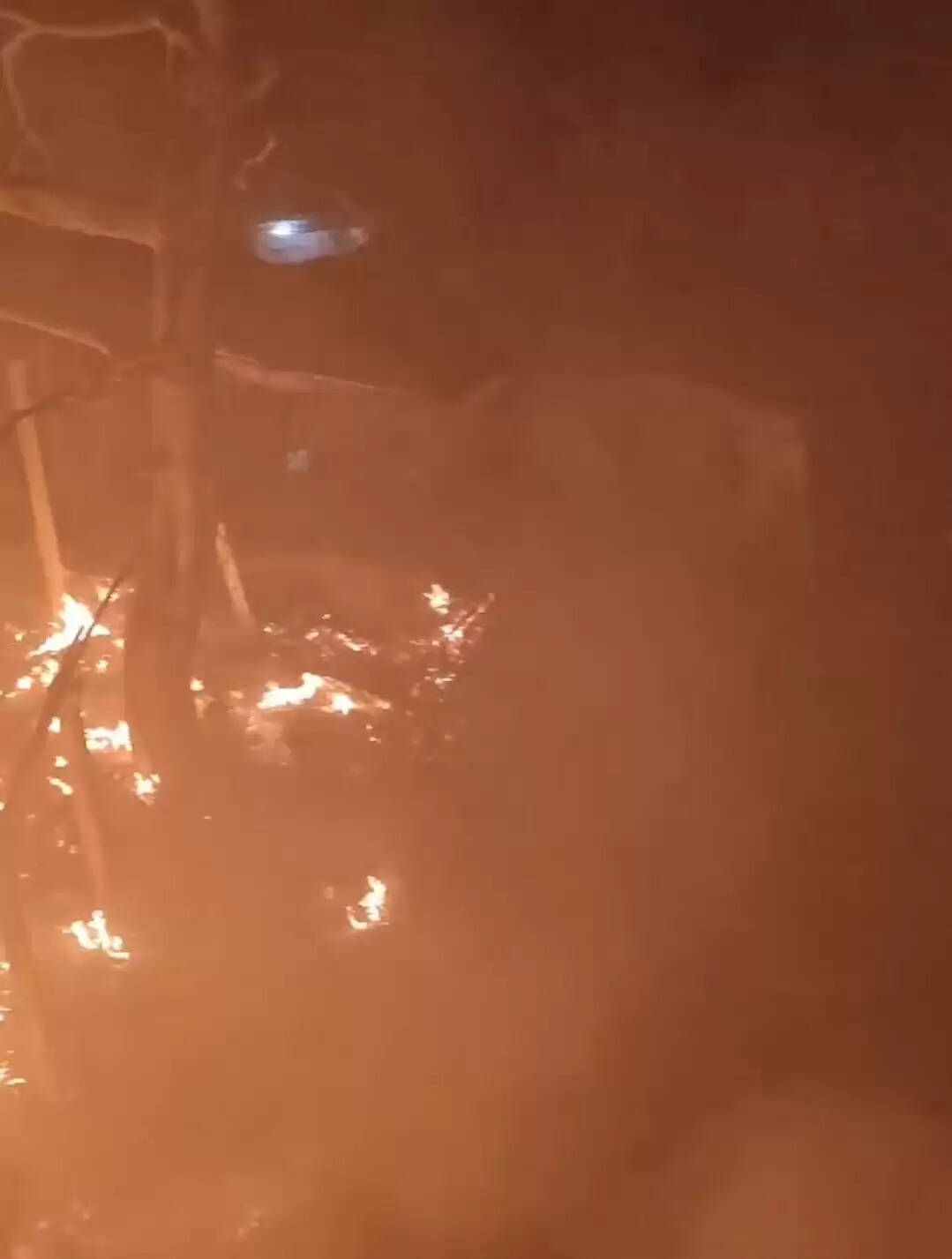 प्रसिद्ध अम्बिका भवानी मंदिर के पास लगी भीषण आग