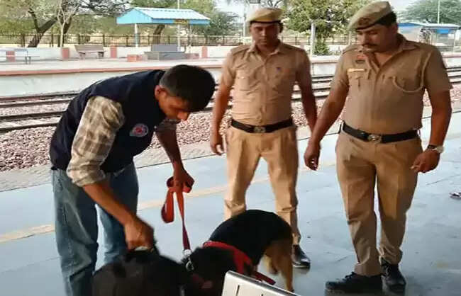 नारनौलः पुलिस टीम ने डॉग स्क्वायड के साथ सार्वजनिक स्थानों का किया निरीक्षण