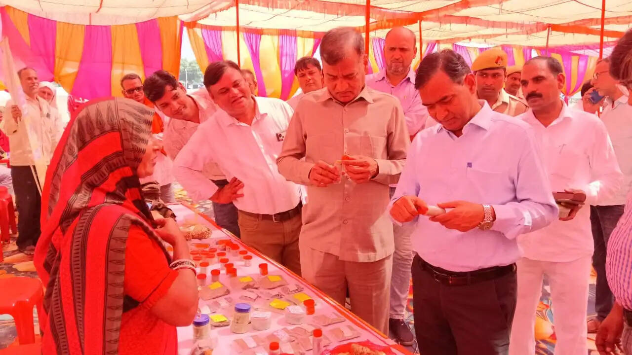 सरस मेले में महिलाओं ने प्रदर्शित किए स्वनिर्मित उत्पाद, डीएम ने बढ़ाया उत्साह