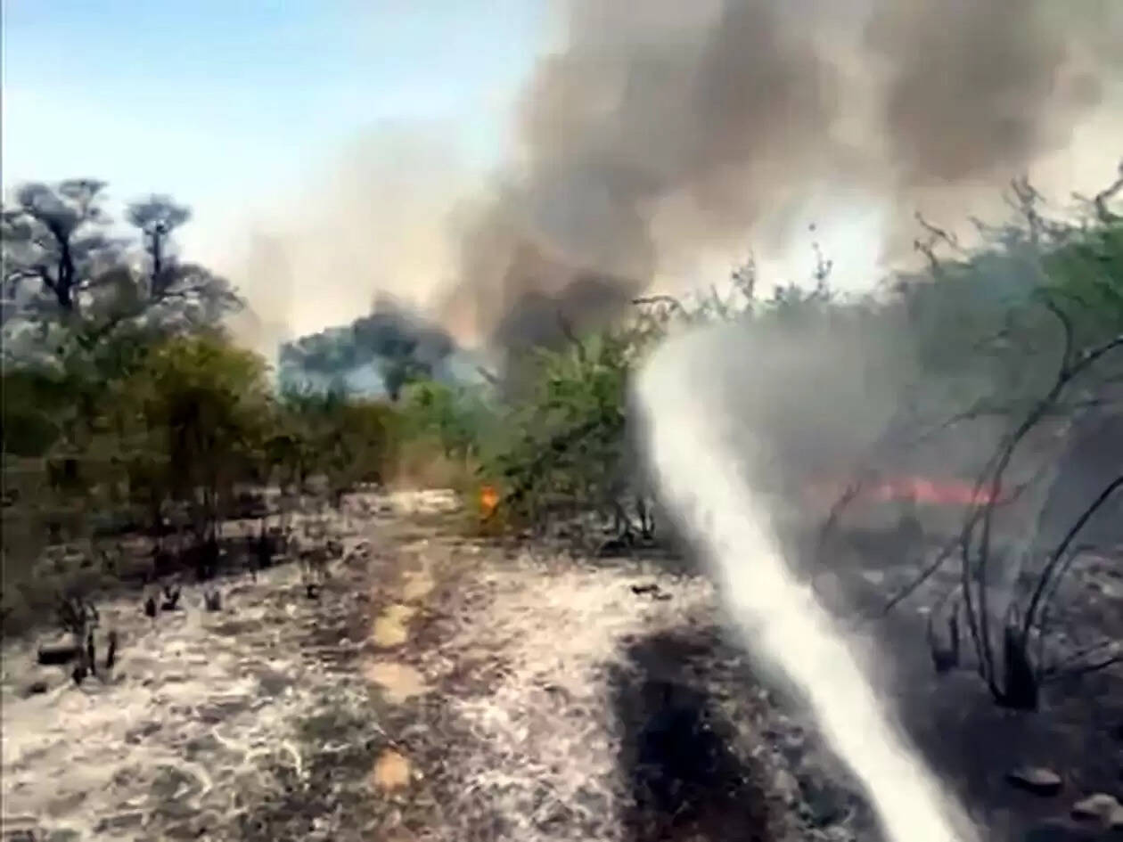 हिसार : रेलवे स्टेशन के पास झाड़ियों में लगी आग, मची अफरा-तफरी