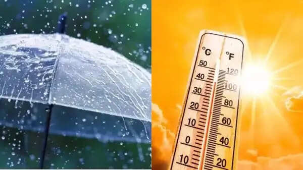 मध्य प्रदेश में फिर बदलेगा मौसम का मिजाज, 26-29 मार्च को एक्टिव होंगे दो नए सिस्टम, आंधी-बारिश के आसार