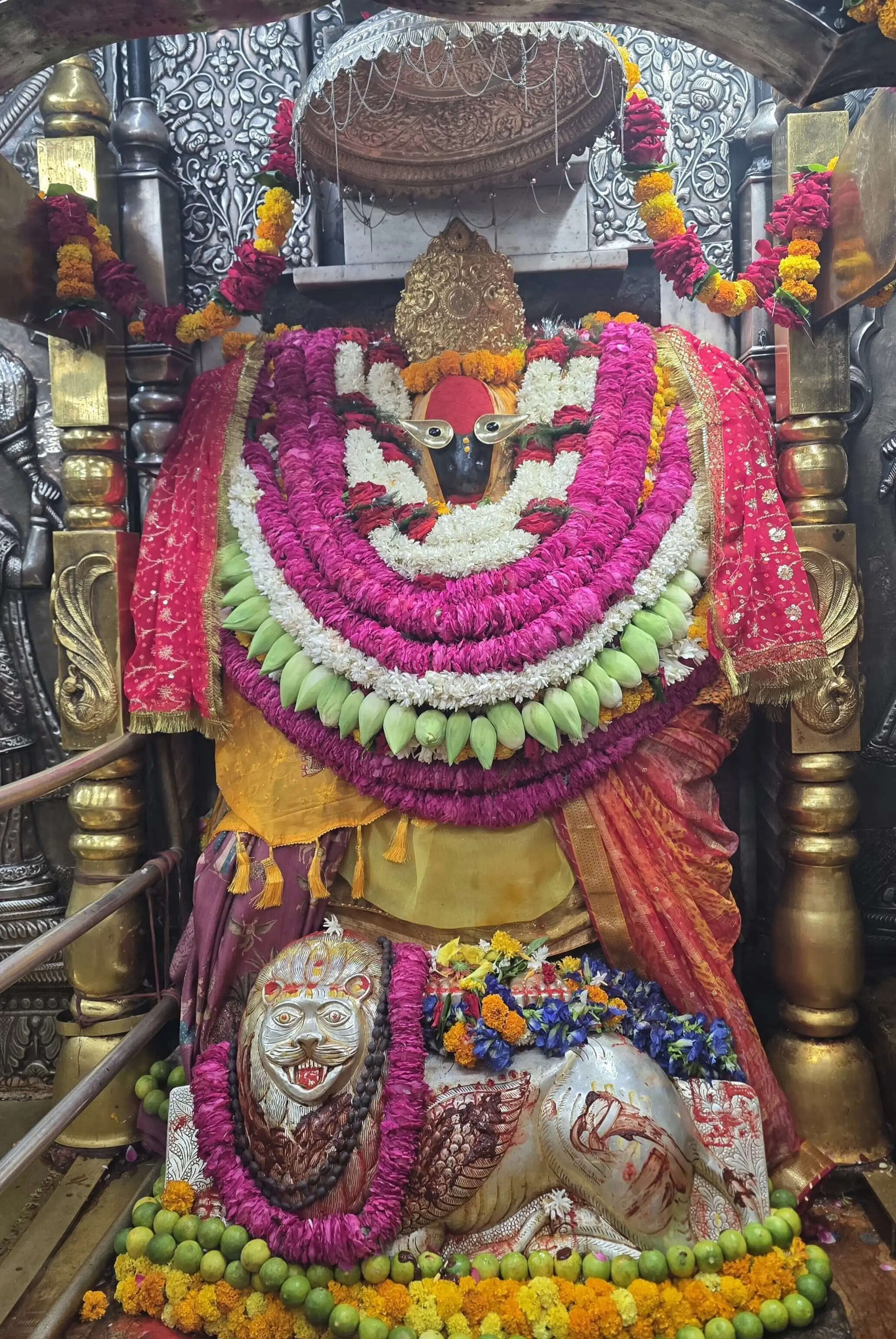 ज्येष्ठ अधिक मास पूर्णिमा पर विंध्यवासिनी धाम में उमड़ा आस्था का सैलाब,दो लाख श्रद्धालुओं ने किए दर्शन