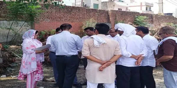हिसार राेडवेज कार्यशाला में पेड़ कटाई पर सीएम फ्लाइंग की दूसरी रेड, साक्ष्यों से छेड़छाड़ के भी मिले संकेत