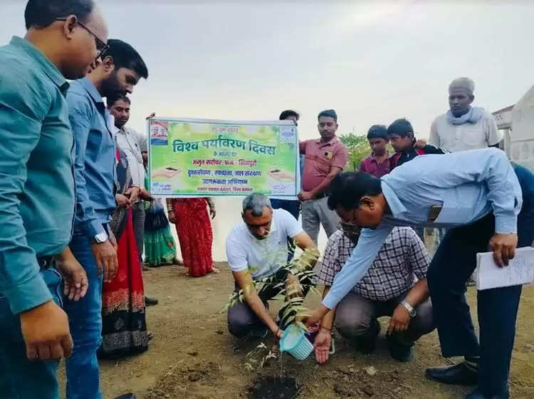 हर व्यक्ति का कर्तव्य वह अपनी धरती को हरा-भरा बनाए रखने पौधरोपण में योगदान दें: कलेक्टर