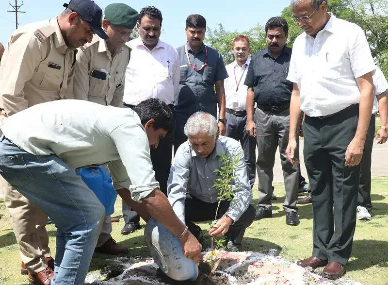 मप्रः लोक भवन में मनाया गया विश्व पर्यावरण दिवस, राज्यपाल के उप सचिव सहित अधिकारियों ने किया पौधरोपण