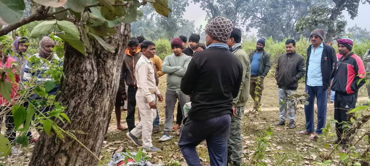 जंगल में पेड़ से लटका मिला छात्र का शव