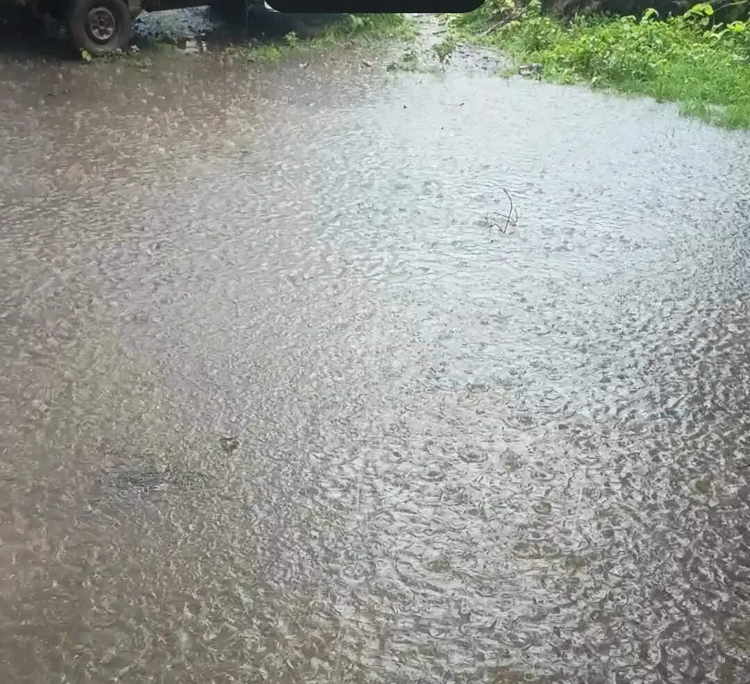 झमाझम बारिश से मौसम हुआ सुहावना, उमस से मिली राहत