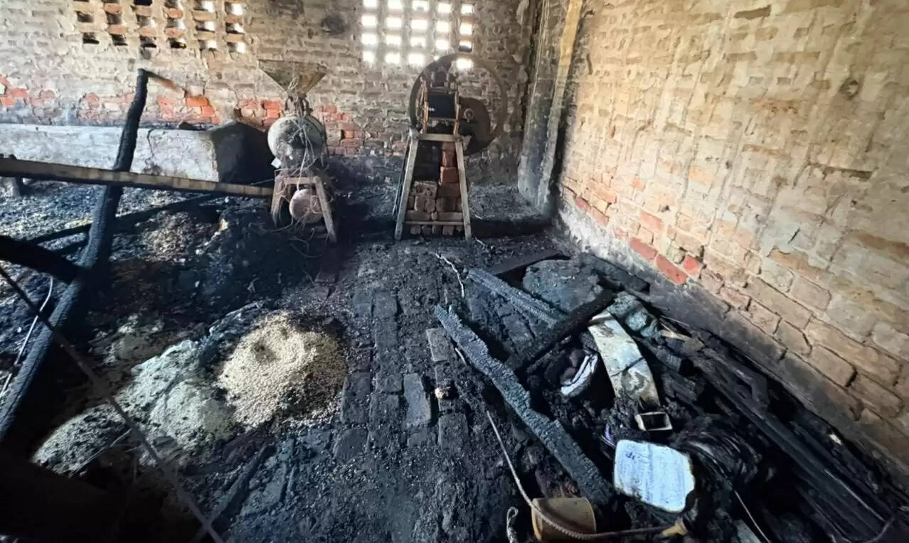 हिसार: पशु बाड़े में लगी आग, बाड़े में बंधे 17 पशु झुलसे