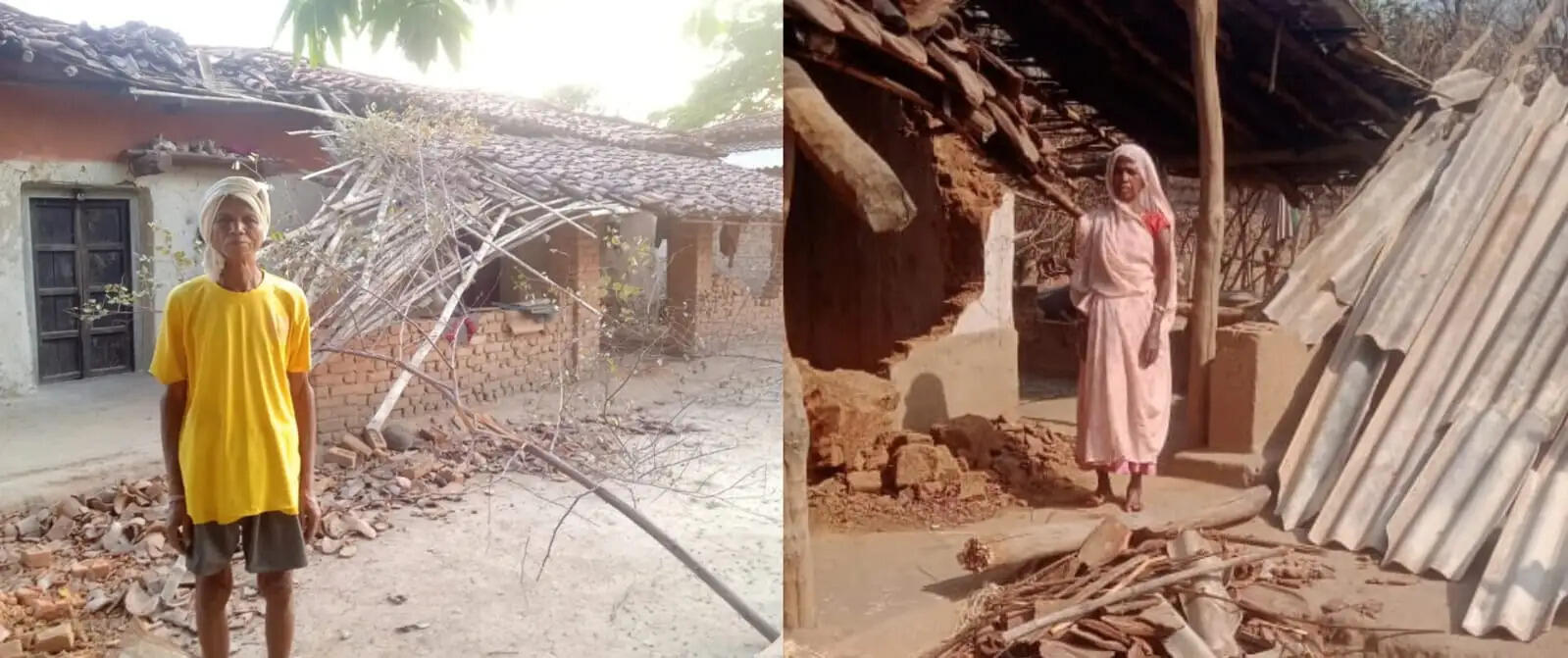 अनूपपुर: जिले में हाथियों का उपद्रव जारी, घरों में तोड़फोड़ कर फसलों को पहुंचा रहे नुकसान