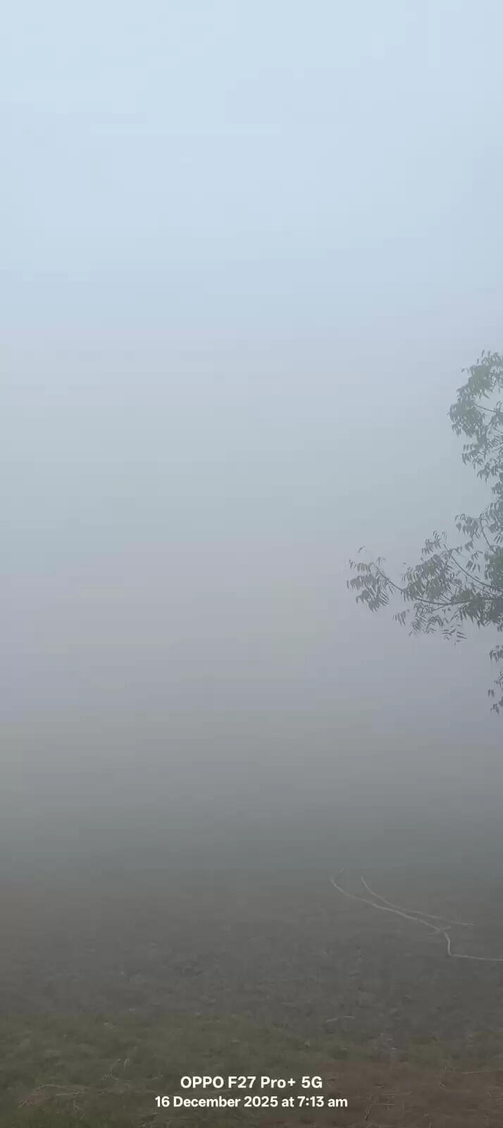 जौनपुर में छाया घना कोहरा जन जीवन अस्त व्यस्त, सड़को पर लाइट जलाकर चलते हुए गाड़ियां