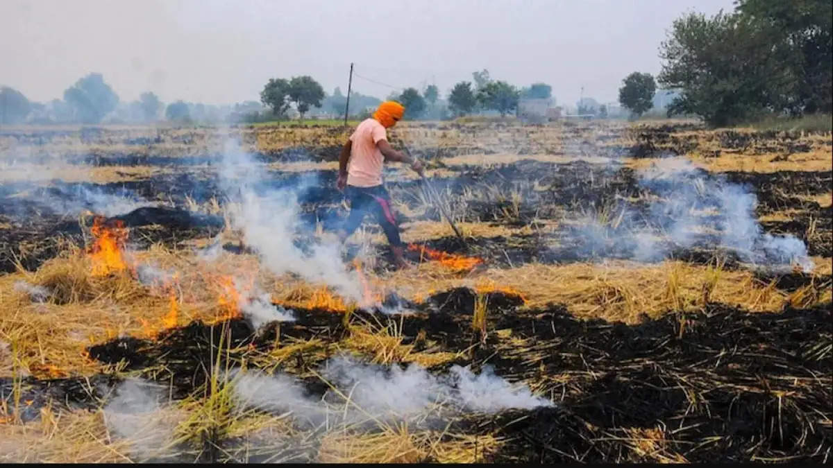 फतेहाबाद: पराली जलाने के आरोप में आठ किसानों पर एफआईआर