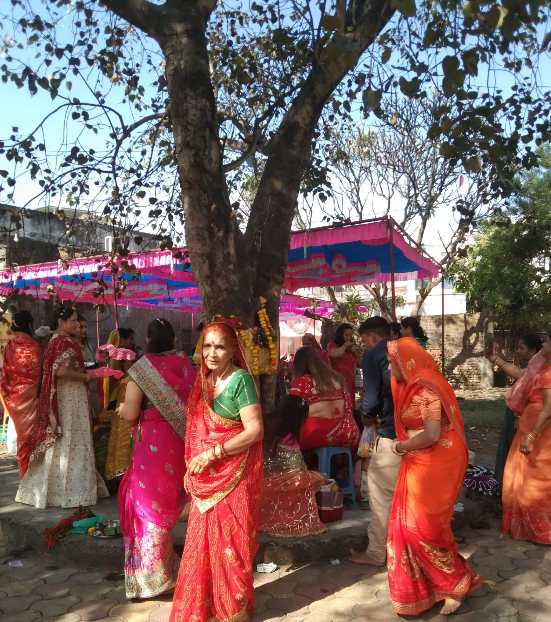 झाबुआ: श्रद्धा और आस्था के साथ मनाया गया दशा माता व्रत, महिलाओं ने पीपल वृक्ष का किया पूजन