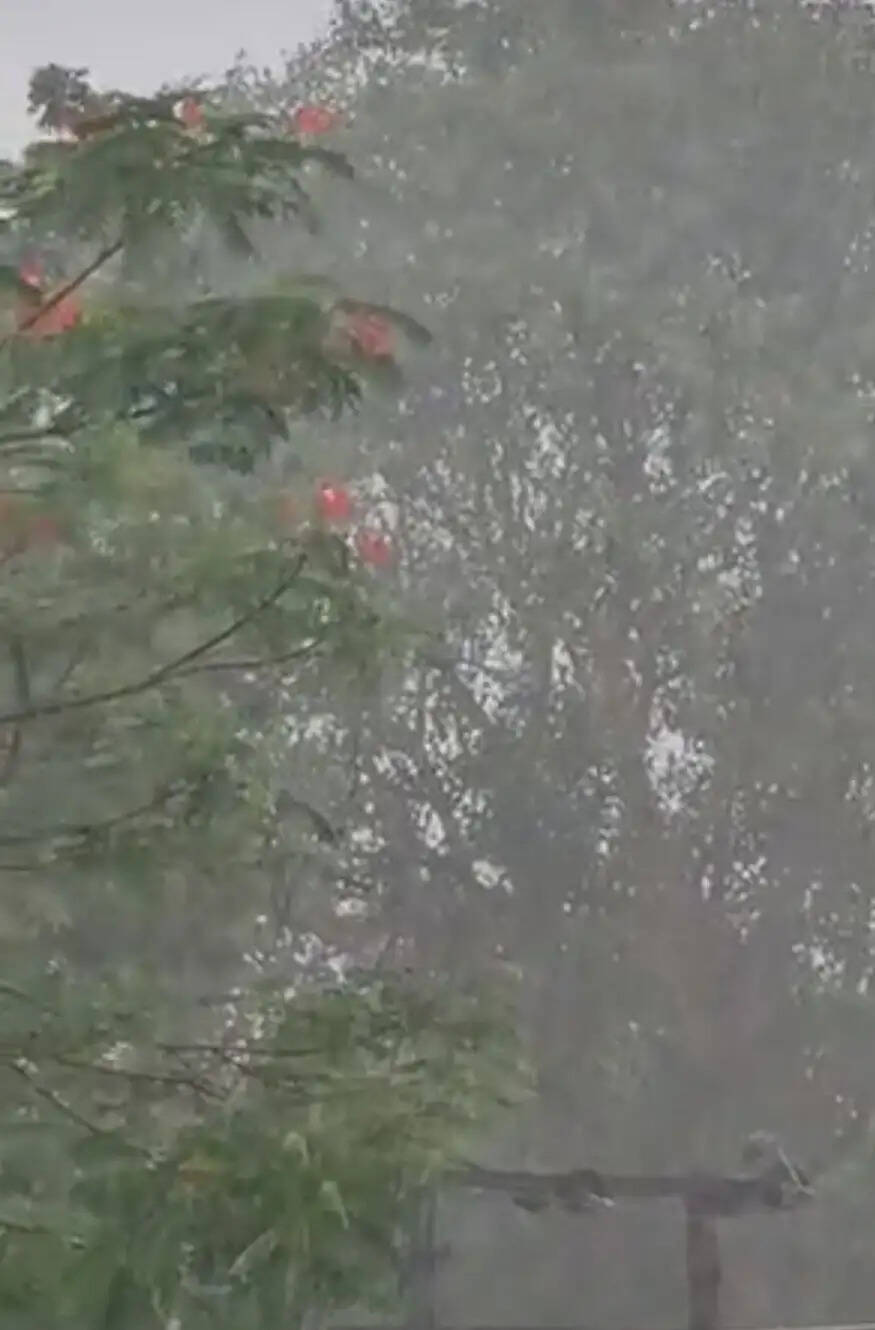 राजगढ़ःजिले में डेढ़ घंटे झमाझम बारिश, सड़कों पर भरा पानी, 8 जुलाई तक बारिश और तेज हवा का अलर्ट